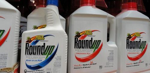 Is Roundup Safe to Use? 