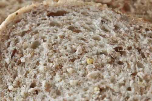 Sprouted-Grain Bread 